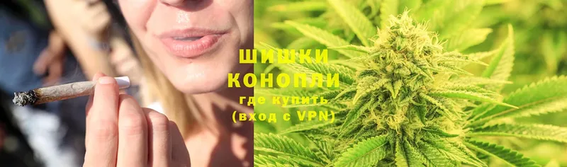 купить   Владикавказ  Каннабис OG Kush 